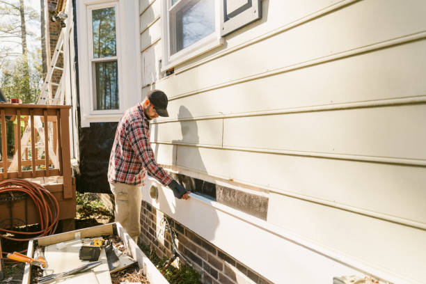 Top rated local Siding Repair specialists in Winthrop, MN